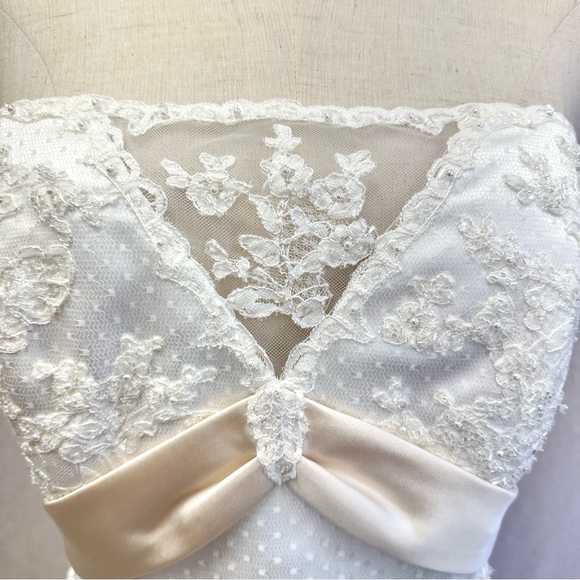 David's Bridal ivory and champagne swiss dot lace wedding dress & veil size 12 - Picture 3 of 16